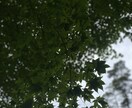 今の自分のすすむべき道とは？占います 『アナタ』を知ることが全てのはじまり。 イメージ7