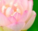 チャクラ鑑定でエネルギーの乱れの原因を探ります 恋愛・人間関係がうまくいかない。悪いパターンをリセットしたい イメージ4
