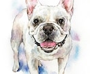 透明水彩で動物、ペットのイラストを手描きします 手描きの水彩画のイラスト原画を、ご自宅やプレゼント用に イメージ3
