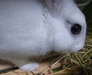 鬱=酒 お話し聞きます 不眠症で悩んでいる方にオススメ イメージ1