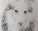 あなたのペットの写真から絵を描きます ペットの絵をプラバンに描きレジンでツヤツヤの作品にします イメージ4