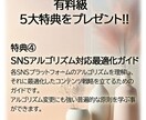 SNS初心者も！実践的収益化完全ガイドお渡しします SNS副業初心者でも収益化を目指せるマネタイズ完全ガイドです イメージ7