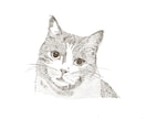 線画イラスト【ビジネスシーン◎】を作ります LINEのアイコンや名刺のワンポイントにご活用頂いてます！ イメージ3
