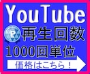YouTube【再生回数】1000回サポートします YouTube/再生/日本/増やす/収入/拡散/ イメージ1