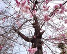 復縁＊復縁を選ぶかどうか、あなたの未来を占います ❇復縁したい、迷っている、揺れる心に。 イメージ8