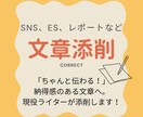 文章添削　レポート・SNS・ESなどを整えます 「伝わるか不安」が「ちゃんと伝わる！」に変わる文章添削 イメージ1