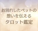 星になった大切なペットの今をリーディングします ペットとあなたのお互いの想いを届け前に進めるようになります イメージ1