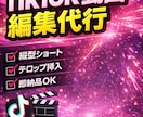 short動画、リール、tiktok編集ます 字幕編集、カット編集、加工など安価に賜ります イメージ1