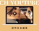 最短12時間！テロップ作成、即日対応します 人に頼むと時間がかかるなんて、言わせません イメージ1