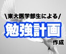 東大医学部生が勉強計画作成、進捗管理します 勉強にお困りの中高生ならどなたでも！ イメージ1