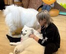 誰にも言えないお話、ゆっくりお聞きします 経験豊富な国家資格保有者が誰にも言えない悩みに寄り添います イメージ7