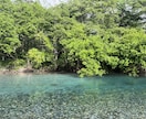 自分自身の特性に気づくお手伝いをします 診断でも、病名をつけるでもなく、あなた自身に向き合います。 イメージ1