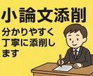 小論文／志望理由書の添削・改善アドバイスます 小論文を分かりやすく丁寧に添削します イメージ1