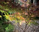 アナタの心のモヤモヤ一緒に解消します アナタが抱える心のモヤモヤの解消を手伝わせてくれませんか？ イメージ1