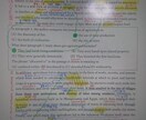 サンプル動画有り!受験英語をオンラインで教えます 大学受験英語,TOEIC,英検を指導します。サンプル動画あり イメージ3