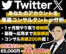 X,Twitterをプロが１ヶ月徹底コンサルします あなたのアカウントに必要な運用戦略やXの解説など／質疑応答◎ イメージ1
