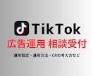 TiKTok広告に関する相談を何でも受付けます 運用設定/運用方法/CRの作り方など イメージ1