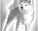 猫、犬等ペットの似顔絵をモノクロでリアルに描きます 鉛筆画、パステルなどで白黒の小動物を写真のように描きます イメージ4