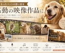 ペットの思い出を感動映像作品にします 写真や動画を一本の心に残る作品へ イメージ1