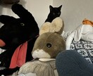 気軽にお友達感覚で色んなお話しします 少しでも楽になっていたり笑顔になって頂けたら嬉しいです♡ イメージ2