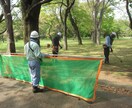 植木管理・剪定・病害虫駆除 造園関係ご相談受けます 会社設立50年の経験を活かしてアドバイスさせて頂きます! イメージ5
