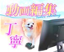動画編集編集代行致します フルテロップでも5000円でOK！！！ イメージ3