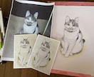愛犬・愛猫を色鉛筆またはデジタルでリアルに描きます ペットとの思い出をあったかい似顔絵でお手元に イメージ3