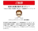 転職！話すだけ！元面接官が職務経歴書作成代行します 「話して作る」履歴書・職務経歴書！修正回数制限ナシ・一律価格 イメージ10