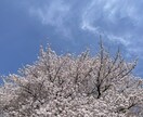 ちょっときいて！や愚痴もオッケー♪なんでもききます モヤモヤをスッキリ！なんでもぶつけてください(•̀ᴗ•́)و イメージ1