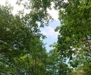 1分から＊どうしても辛い思いをお聞きします 頭から離れない苦しみ/悲しい/屈辱/許せない/怒り/寂しい イメージ9