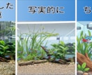 ペットの写真をベクター・イラストとして描きます ペットの写真を特別なイラストとして残したい飼い主様へ！ イメージ9
