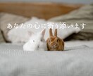 恋愛相談*＊☆聴かせて頂きます あなたの心の伴走者になりたい(*^^*) イメージ7