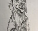 動物や人物画を描いています 愛するペットや人物画を印象的に描きます。 イメージ3