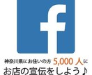 広告業界17年■Facebookに投稿します 神奈川県内でお店やサイトの集客・告知をしたいあなたへ♪ イメージ1