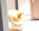 高校生、愚痴、悩みなんでも聞きます 高校生ですが、高校生だからこそ、アドバイス出来るこもあります イメージ2