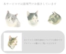 お写真をもとに猫のアイコン用似顔絵をお描きします 優しい雰囲気のイラスト、ペットのSNSアイコンをご希望の方に イメージ3
