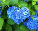 心の疲れ癒します 心理カウンセラーがあなたのお悩みや恋愛に対しアドバイスします イメージ10