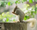 気になるお相手の気持ちや考え・相性などを占います 何を考えているのだろう？相性はいいの？私の事好き？友達なの？ イメージ6