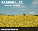 Instagram投稿画像作成します Instagram投稿サポート！投稿デザイン1枚1,000円 イメージ3