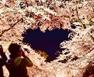 恋愛や結婚に悩んでいる方の相談に乗ります まず何をすればいいか迷っている方向け イメージ1