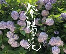 筆文字のデザイン力と書道の技術を活かして制作します ひとつ格上の筆文字を目指します イメージ5