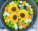 相談援助職✧泣きたい、つらい、罪悪感、受け止めます こどもの発達・知的・不登校etc.子供の悩み、聞きます。 イメージ4