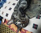 介護に関してご相談にのります ちょっと人に聞きにくい、話にくい、、と思っている方へ。 イメージ1