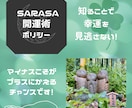 特価★算命学鑑定！【初回限定】します あなたの生まれもった性質や宿命を算命学でお調べします！！ イメージ2