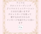 アニマルタロットカードリーディングをします カードを使って愛するわが子からのメッセージをお伝えします イメージ2