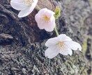 1人じゃないです【雑談OK】カウンセラーと話せます 嬉しいこと・悲しいこと、誰かに言いたい、一緒に考えてほしい イメージ5