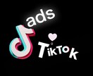 TikTok広告　手数料5〜10％で運用します 初期設定費用無料で広告運用・サポート・月次レポートまで。 イメージ1