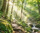 数秘を使って、あなたの本質・使命を紐解きます 強み・価値観・人生の流れを整理し、次の一歩を一緒に見つけます イメージ8