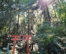 女の子がほしい・子授かり「念願成就」を援護します 龍女の念力であなたの願う力を増幅＆子宝パワースポット代理参拝 イメージ5