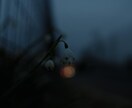 眠れない夜、あなたに寄り添います 雑談、暇電、愚痴、お気軽にどうぞ♪ イメージ6